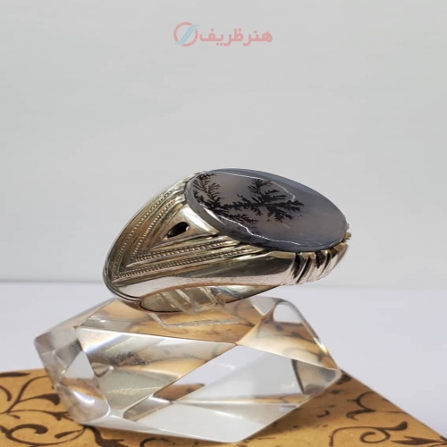 انگشتر شجر کبود تک درخت کلکسیونی