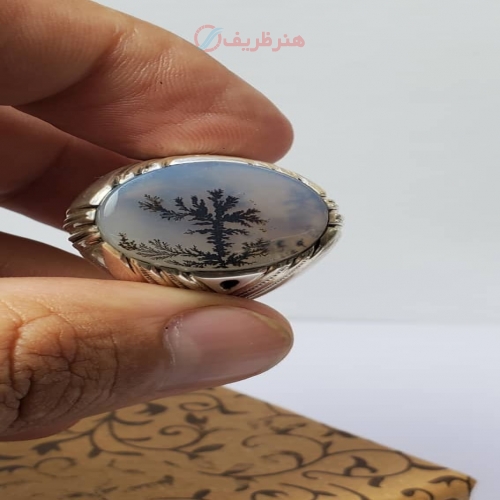 انگشتر شجر کبود تک درخت کلکسیونی