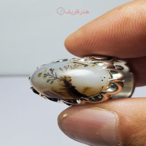 انگشتر شجر تک درخت کلکسیونی